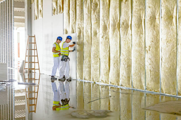 Types of Insulation We Offer in Glenolden, PA